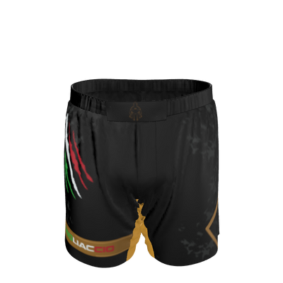 Men's Jiu-Jitsu Shorts with Velcro