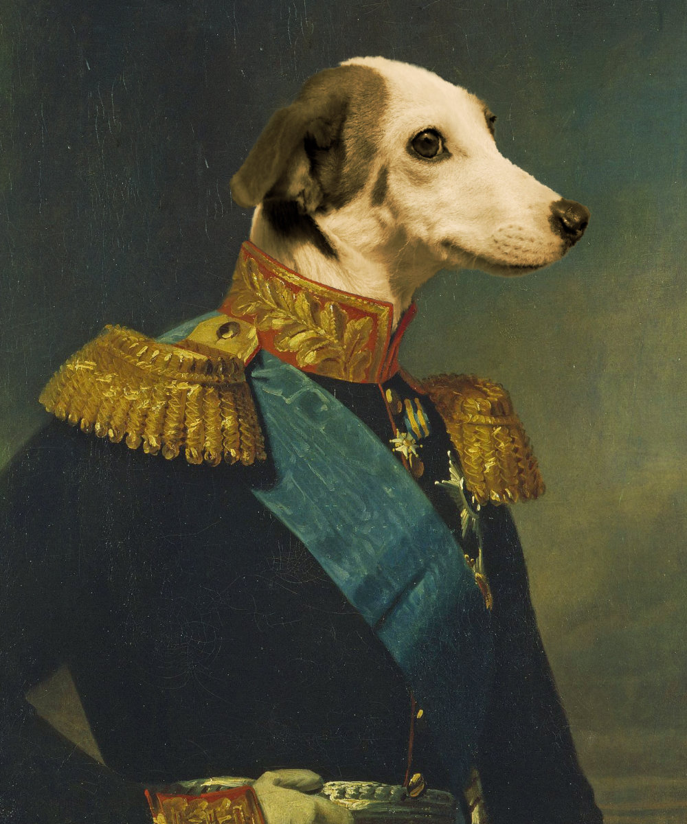 Labrador Royal Portrait