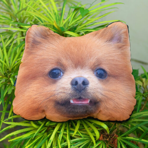 Pet Pillow Head - Dog Pillow - Cat Pillow